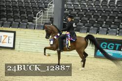 24BUCK_12887 thumbnail