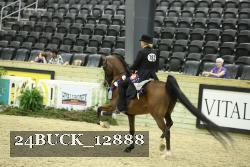 24BUCK_12888 thumbnail
