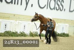 24R13_00001 thumbnail