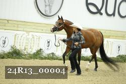 24R13_00004 thumbnail
