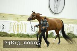 24R13_00005 thumbnail