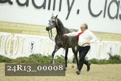 24R13_00008 thumbnail