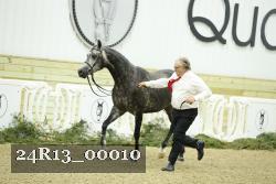 24R13_00010 thumbnail