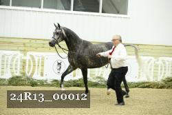 24R13_00012 thumbnail