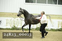 24R13_00013 thumbnail