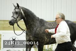 24R13_00014 thumbnail