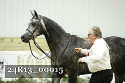 24R13_00015 thumbnail