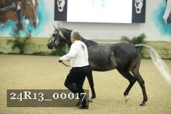 24R13_00017 thumbnail