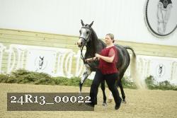 24R13_00022 thumbnail