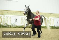 24R13_00023 thumbnail