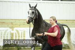 24R13_00024 thumbnail