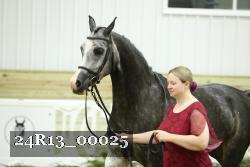 24R13_00025 thumbnail