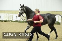 24R13_00026 thumbnail