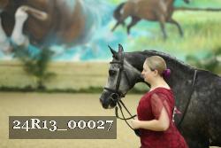 24R13_00027 thumbnail