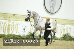 24R13_00028 thumbnail