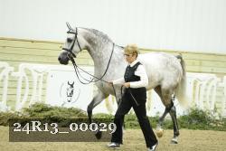 24R13_00029 thumbnail