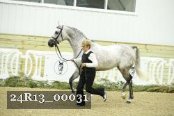 24R13_00031 thumbnail