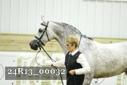 24R13_00032 thumbnail