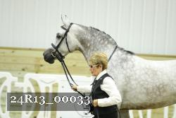 24R13_00033 thumbnail