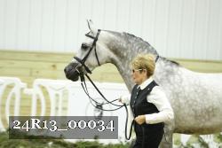 24R13_00034 thumbnail