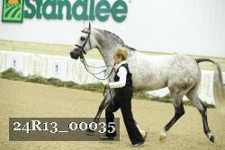 24R13_00035 thumbnail