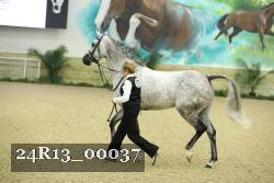 24R13_00037 thumbnail