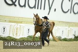 24R13_00038 thumbnail