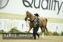 24R13_00039 thumbnail