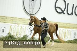 24R13_00040 thumbnail