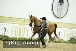 24R13_00041 thumbnail
