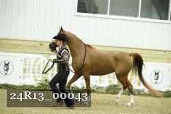 24R13_00043 thumbnail