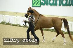 24R13_00045 thumbnail