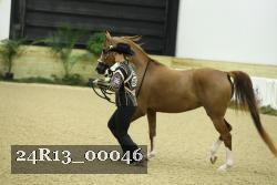 24R13_00046 thumbnail