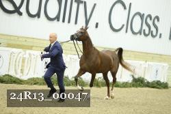 24R13_00047 thumbnail