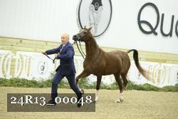 24R13_00048 thumbnail