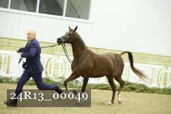 24R13_00049 thumbnail