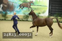 24R13_00051 thumbnail
