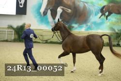 24R13_00052 thumbnail