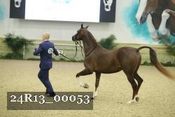 24R13_00053 thumbnail