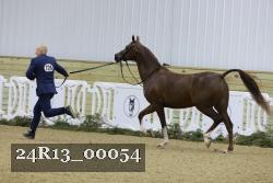 24R13_00054 thumbnail