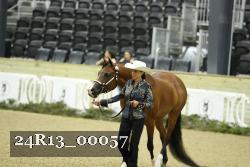 24R13_00057 thumbnail
