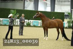 24R13_00059 thumbnail