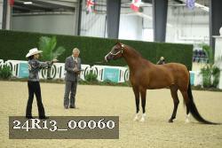 24R13_00060 thumbnail