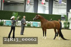24R13_00062 thumbnail