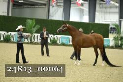 24R13_00064 thumbnail