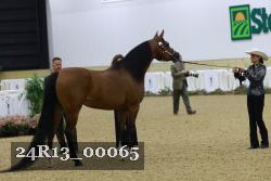 24R13_00065 thumbnail