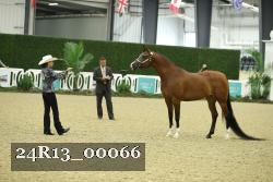 24R13_00066 thumbnail