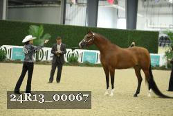 24R13_00067 thumbnail