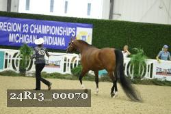24R13_00070 thumbnail