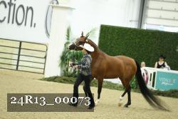 24R13_00073 thumbnail